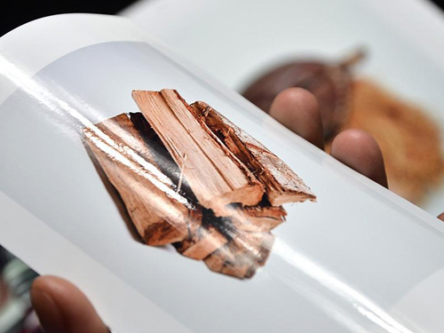 包裝市場環(huán)?；瘜π滦筒牧闲枨笤龃?></a>
            <div   id=